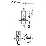 H1 12V- 55W (P14,5s) Spot