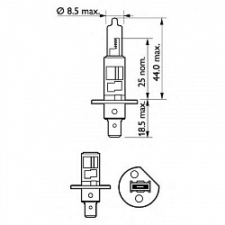 H1 12V- 55W (P14,5s) Spot