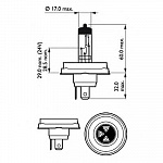 R2 Visio 12V- 45/40W (P45t)