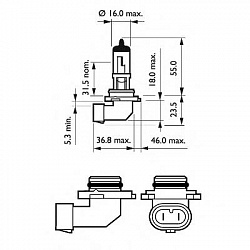 H10 12V-45W (PY20d)