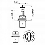 HB1 12V- 65/45W (P29t)