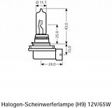 H9 12V-65W (PGJ19-5)