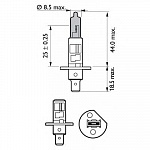 H1 12V- 55W (P14,5s) (абсолютно белый свет) White Vision блистер (1шт.)