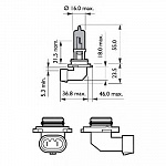 HB3 12V- 60W (P20d) (абсолютно белый свет) White Vision блистер (1шт.)